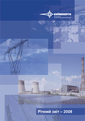 Річний звіт - 2008